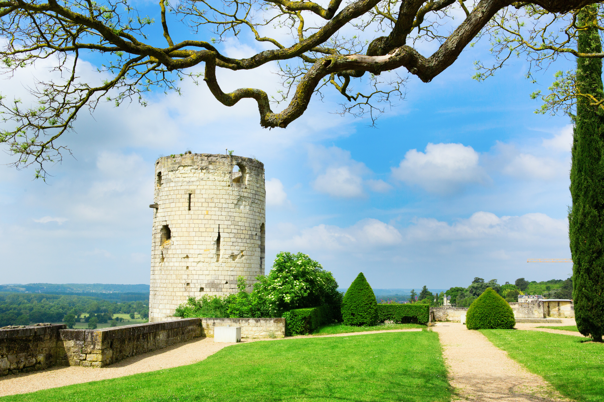50_Chinon[1].webp